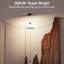 Battery Powered Dimmable LED Wall Mount Picture Light