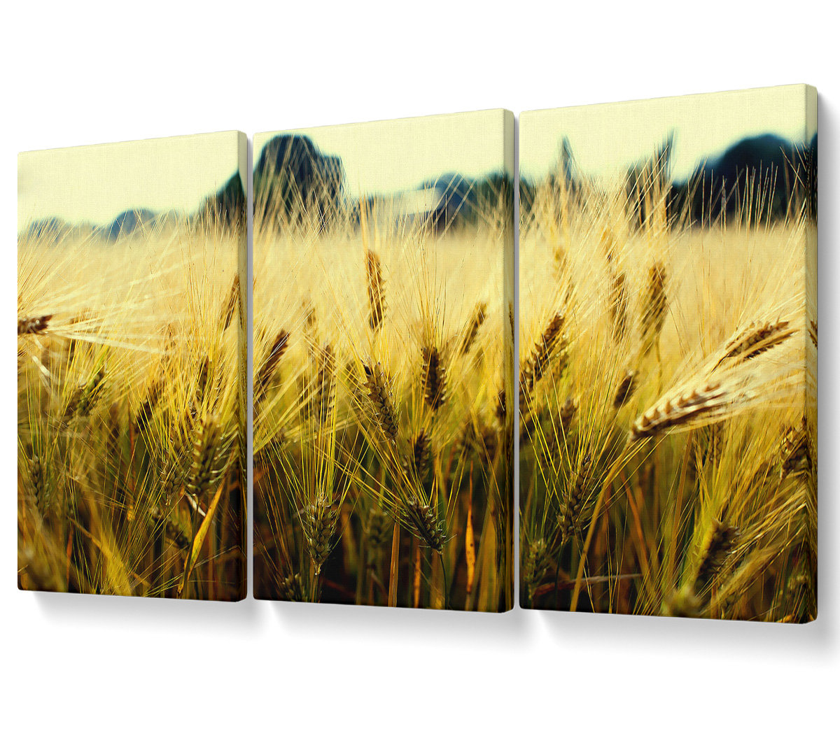 Ebern Designs Yellow Grain - 3 Piece Wrapped Canvas Graphic Art Set ...