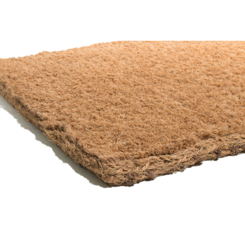 Tapis d'extérieur Nickelsville, Rectangle 1 pi 6 po x 2 pi 6 po