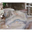 Drap-housse et coussin décoratif Ambesonne-106786076