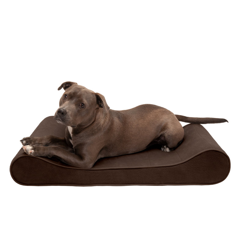Microvelvet Luxe Chaise Lounge Orthopedic Dog Bed, Large (36" W x 24" D x 5.5" H), Espresso, Orthopedic Foam