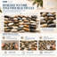 Pecos Random Natural Stone
