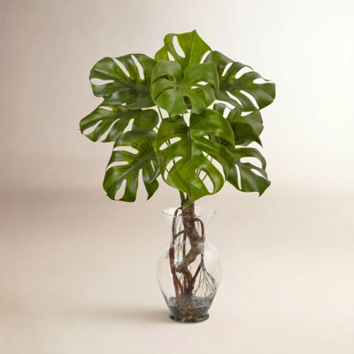 Plante à feuillage de bureau dans un vase décoratif