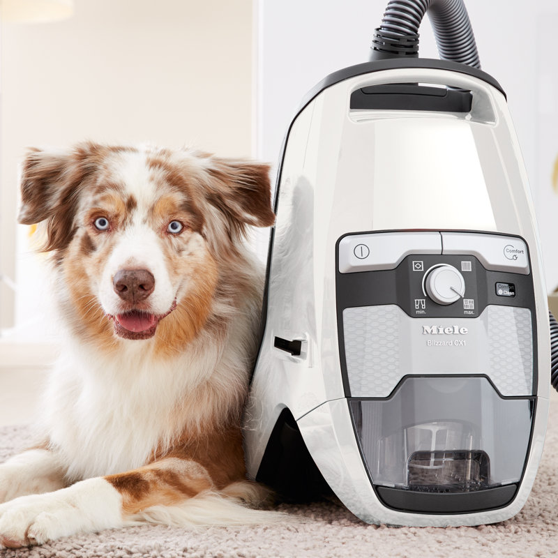 Blizzard CX1 Canister Vacuum