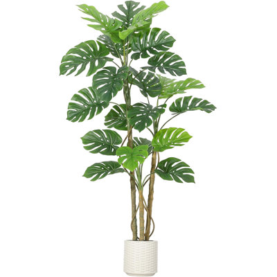 180cm Plant