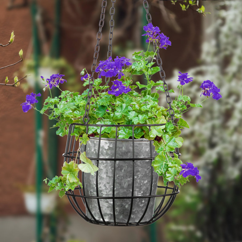 Drumnagee Metal Hanging Planter