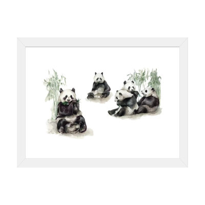 Pandas