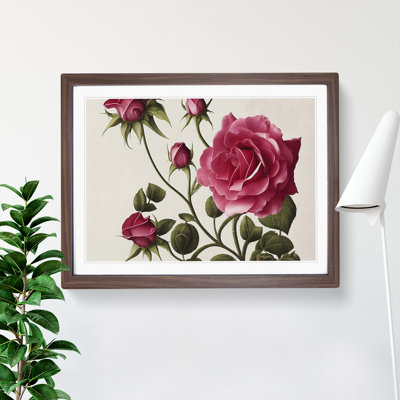 Bold Rose Flowers - Single Picture Frame Painting