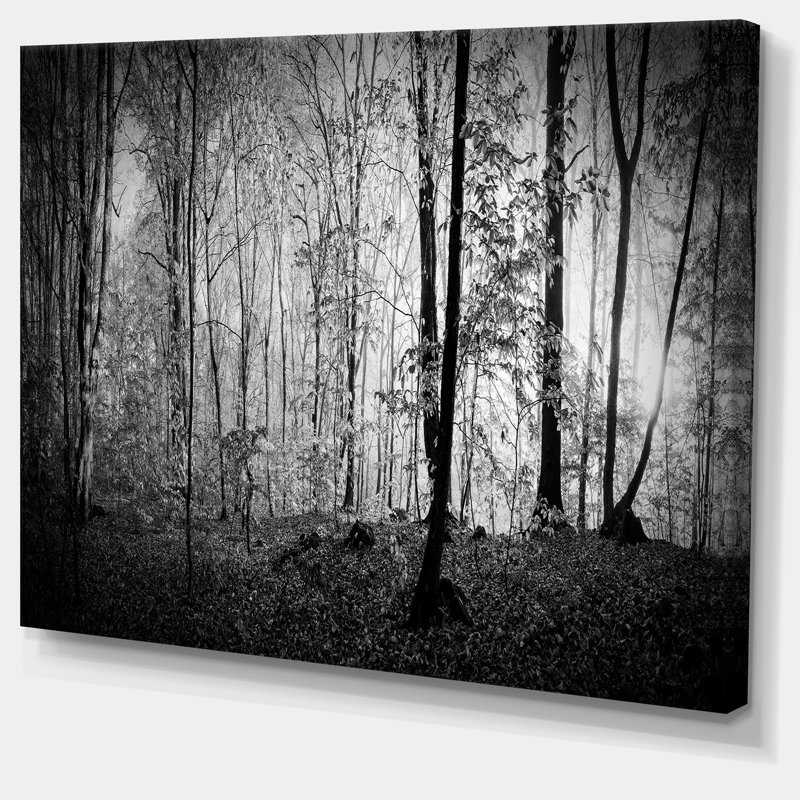 «Beautiful Forest Morning Panorama», reproduction, H 40 po x l 60 po, Toile tendue