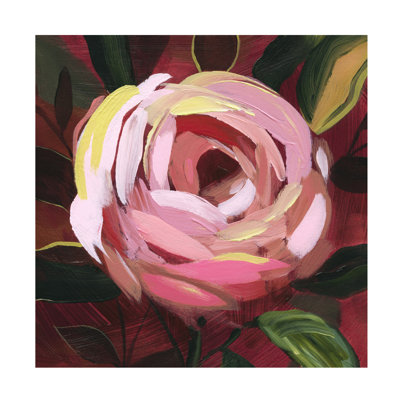 «Brushy Rose II» sur