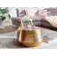 Jayde Solid Coffee Table-37466118