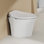 Elongated Toilet Seat and Lid