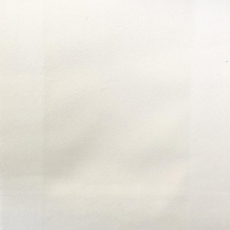 Solid Velvet | Velluto Fabric, White