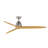 Aristede 60'' Ceiling Fan