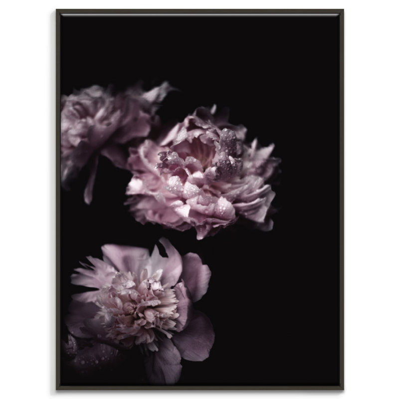 Print on Canvas, 51cm H x 41cm W, Black Floater Frame