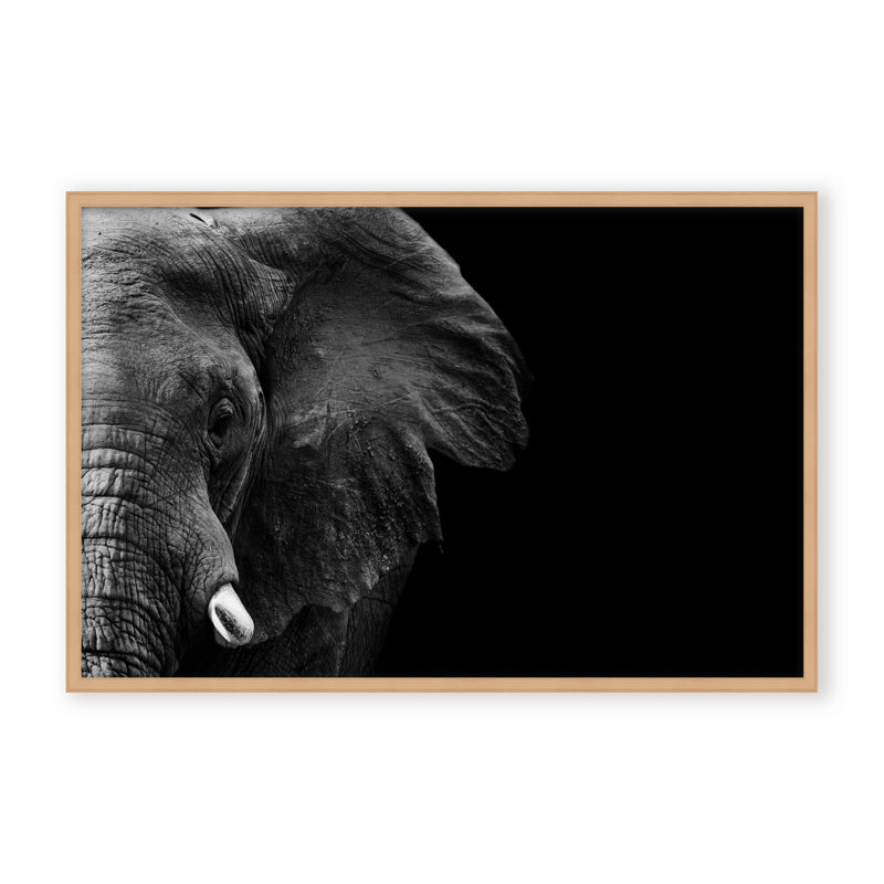 Nature Inspired Elephant by  - Picture Frame Photograph on Paper, 32" H x 48" W x 1.125" D, Framed Matted Print, Black