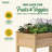 Wood Elevated Planter