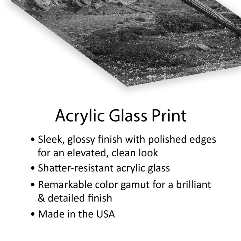 Saguaro and the Superstition Mountains, Lost Dutchman State Park, Arizona, impression sur verre acrylique