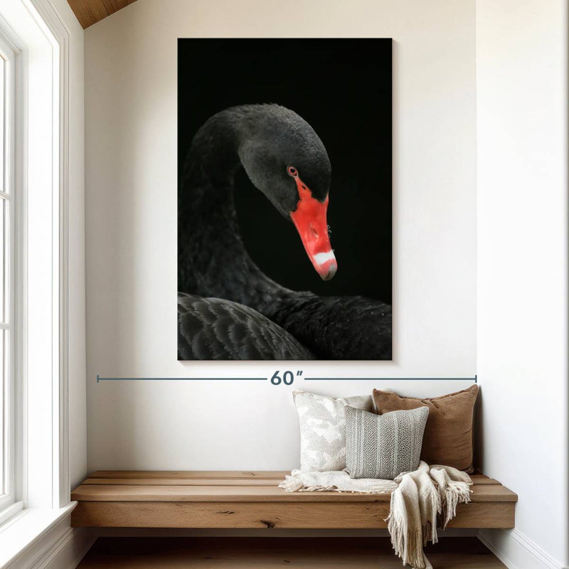 Brampt Black Swan Head, 51" H x 34" W