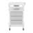 Salon Roller Trolley Cart, Beauty Rolling Cart