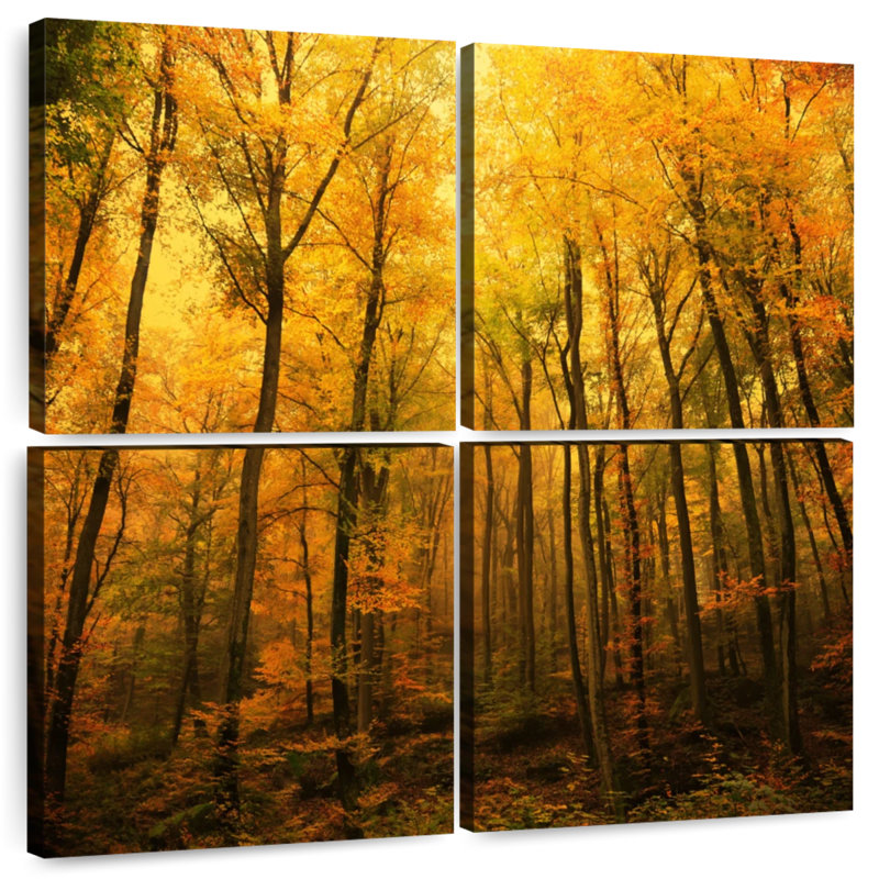 Forêt d'Alvord en automne