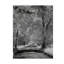 «Sparks Ln Ir» par Garv, reproduction de photo sur toile tendue-30363260