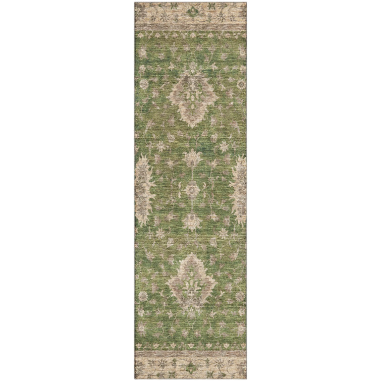 Premium Machine Washable Bucz AMF1739 Border Rug