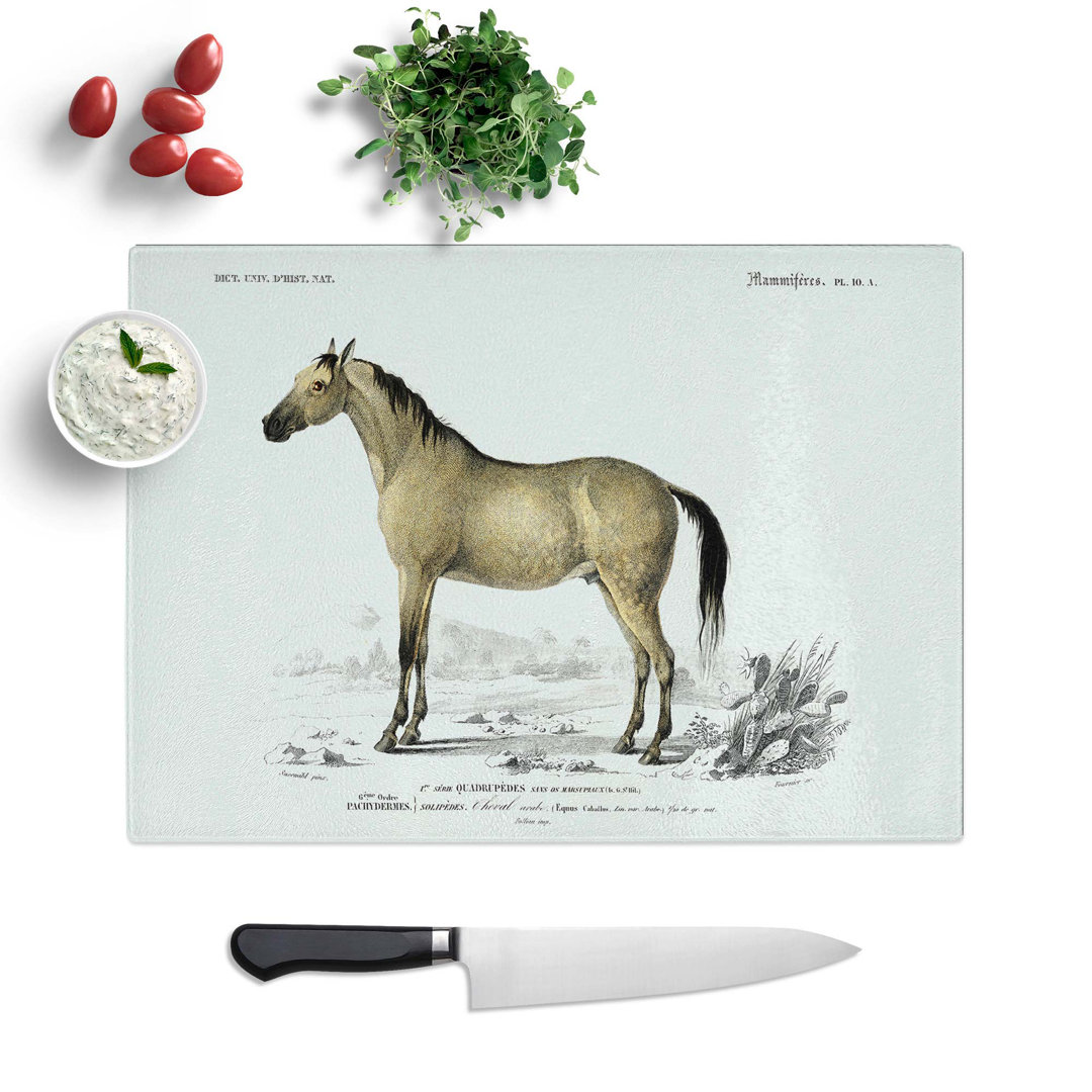 Glass Horse Illustration Pl. 10A by Charles D' Orbigny Chopping Board