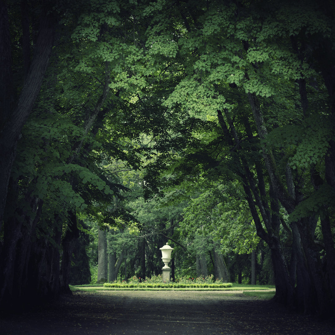 Magischer Park mit grünen Bäumen von LordRunar - Drucken