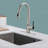 GAWEZA Pull Down Kitchen Faucet-86846743