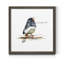 Mixed signaux V-reproduction d’art sur toile encadrée-2132761849-2132761851
