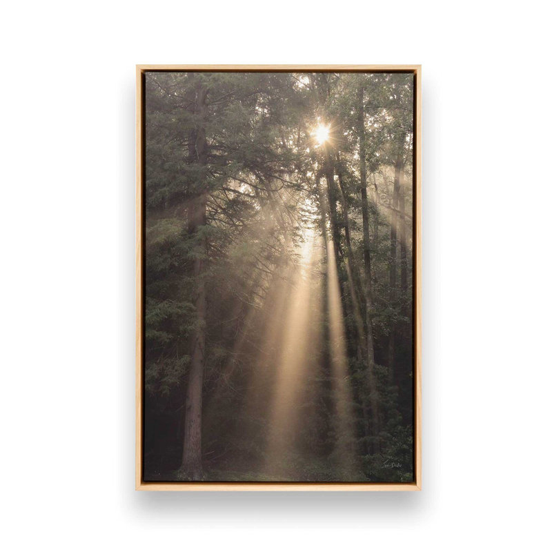 «Enlighten Your Soul» par Lori Deiter, reproduction d'art, 20 W x 30 H, Tan, Framed Canvas