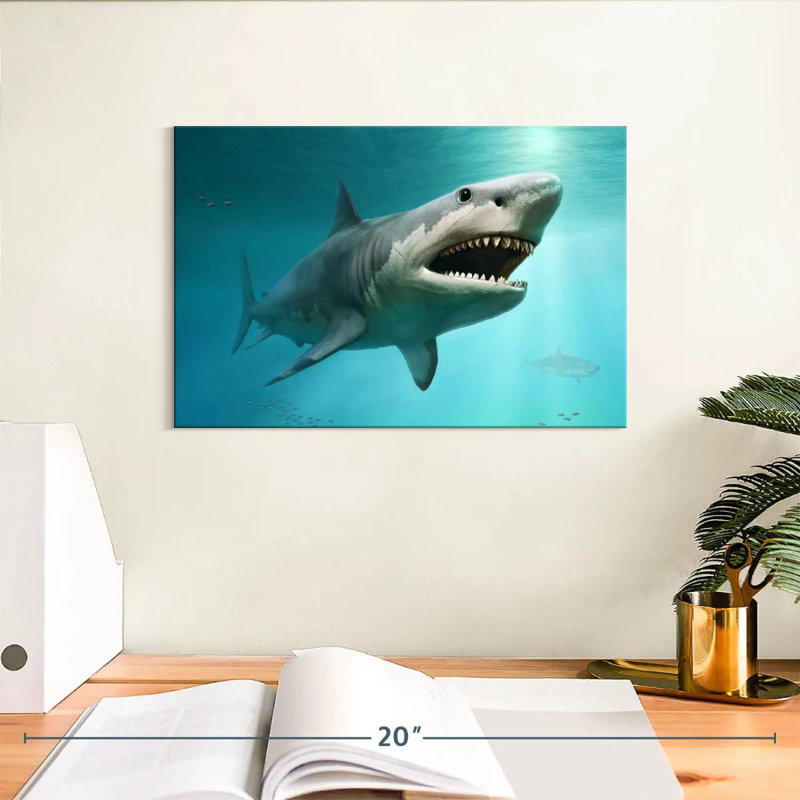 Requin mégalodon Brampt éteint, H 8 po x l 12 po