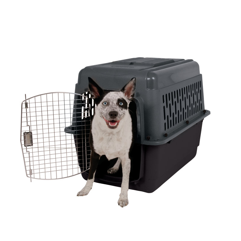 Archie Oscar™ Donnie Pet Carrier Reviews Wayfair Canada