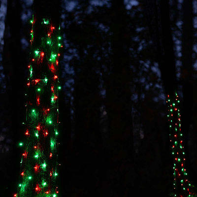 Trunk Wrap LED Stretch Net Lights