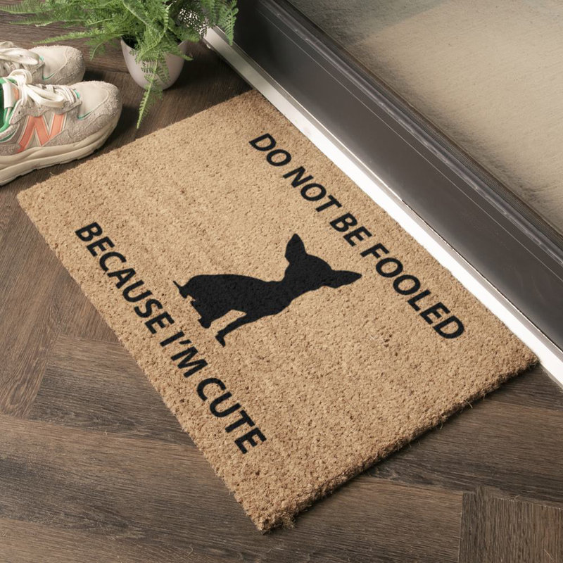 Viviene Non-Slip Outdoor Doormat