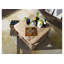 Toronto Solid Wood Four Leg Coffee Table with Storage