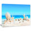 « coquillages on tropical beach », reproduction d’art Seashore-1861329282-1861329280