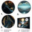Dreamy Moonlit Jungle II - Paysage abstrait-516955951