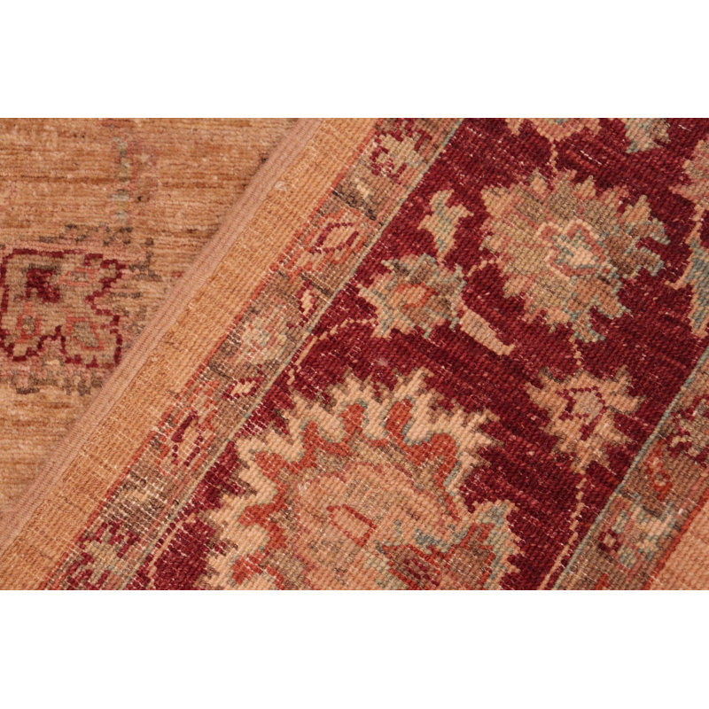 Baccio Wool Oriental Indoor Rug