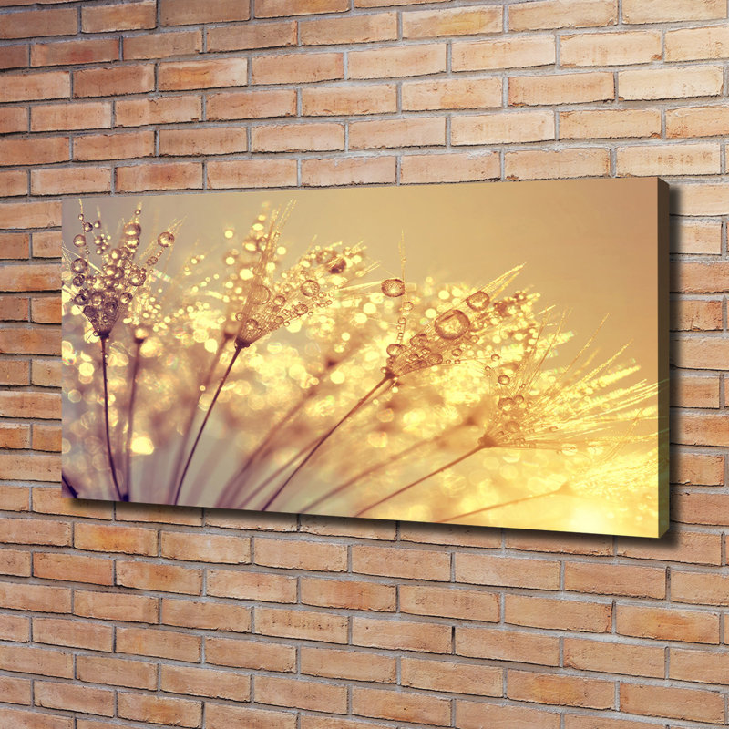 Dandelion Seeds - Wrapped Canvas Print