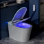 Toilette intelligente avec bidet, toilette bidet avec siège chauffant et veilleuse, toilette moderne sans réservoir avec uv pour la salle de bain, toilettes une pièce à fermeture en douceur, sécheuse, capteur de pied, couvercle et siège auto