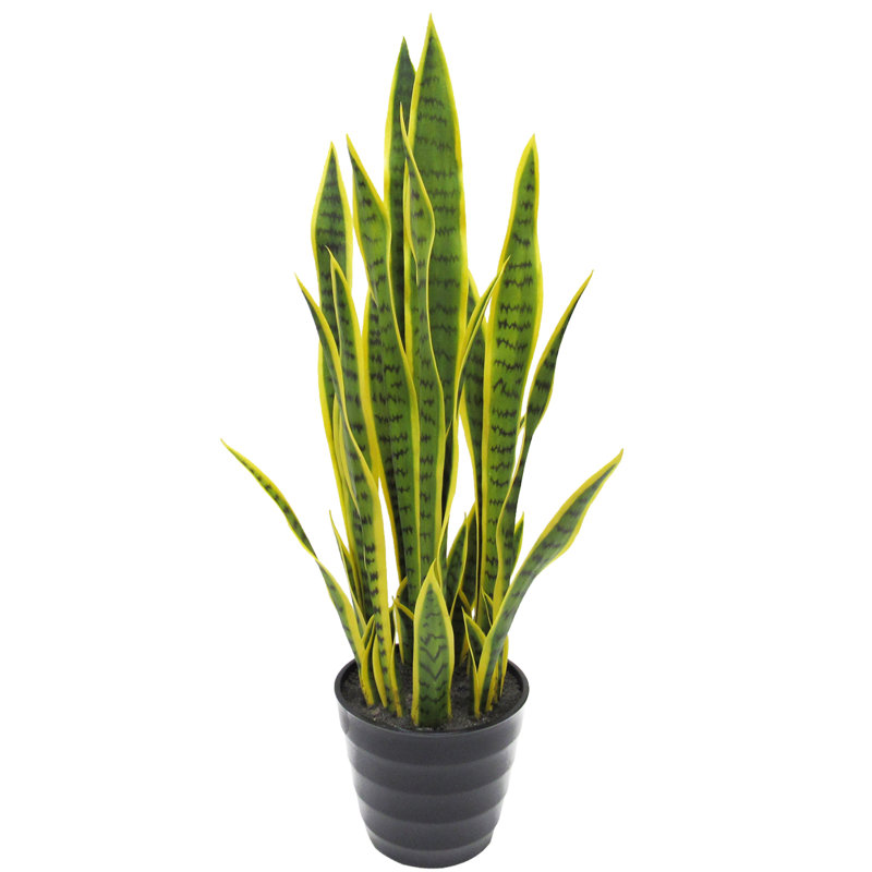 Plante de serpent artificielle Sansevieria en pot, Vert foncé / jaune, 32" H x 10" W