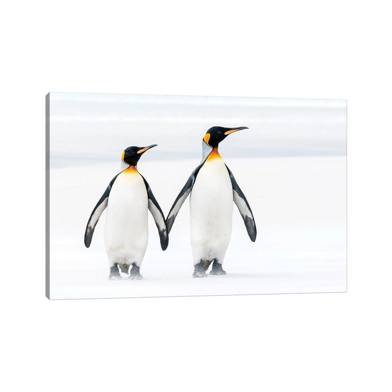 King Penguin Pair On Beach, Volunteer Beach, East Falkland Island, Falkland Islands by Tui De Roy - Wrapped Canvas Print