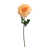 Apricot est en rupture de stock