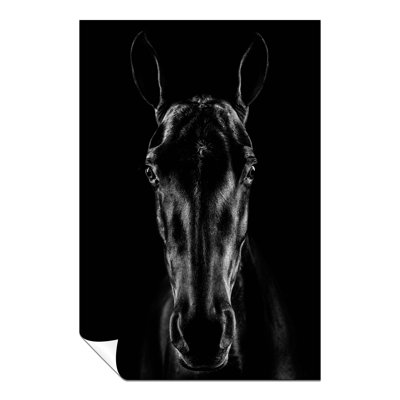 Horse In The Dark - No Frame Print