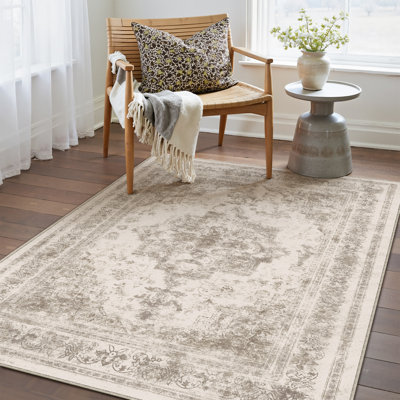 Oriental Area Rug
