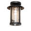 1 - Light Flush Mount