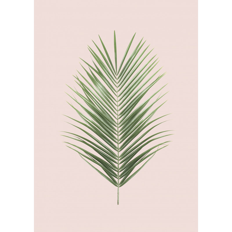 Palm Leaf , 76.2cm H x 50.8cm W