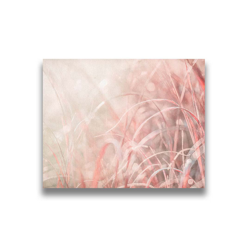 Crimson Grass in Backlight par Hal Halli. Estampe numérique, H 40,5 po x l 50,5 po, Impression encadrée sans passe-partout